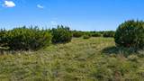 386 Appaloosa Run - Photo 3