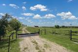 5100 Jaeger Rd - Photo 9