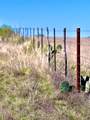 TBD Tract 19 Buckskin Path - Photo 3