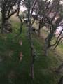 943 Parkview Dr - Photo 9