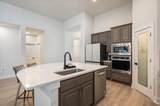 22610 Fountaingrass Ln - Photo 13