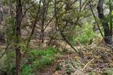 17621 Hunters Holw - Photo 33