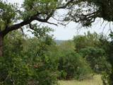 1619 Althaus Ranch Rd - Photo 14