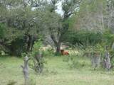 1619 Althaus Ranch Rd - Photo 3