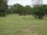 1619 Althaus Ranch Rd - Photo 31