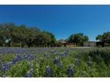 30201 Live Oak Trl - Photo 5