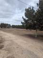111 Rose Dr - Photo 16