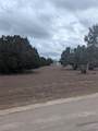 111 Rose Dr - Photo 4