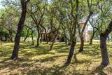 511 Shadywood Ln - Photo 33