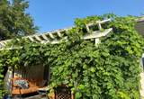 4200 Vista Corta Dr - Photo 28