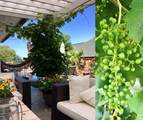 4200 Vista Corta Dr - Photo 30