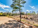 119 & 123 Mccarthy Dr - Photo 8