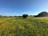 7800 County Road 210 - Photo 15