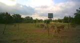 7800 County Road 210 - Photo 28
