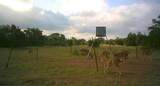 7800 County Road 210 - Photo 30