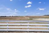 5300 County Road 424 - Photo 36
