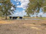 1801 County Road 470 - Photo 31