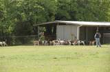 194 Private Road 4663 - Photo 28