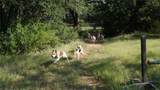 194 Private Road 4663 - Photo 30