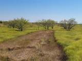Tract 4 Cr 207 - Photo 20
