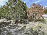 3600 Congress Ave - Photo 6