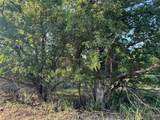 4401 Trimmier Rd - Photo 11