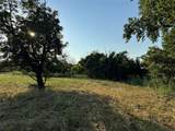 4401 Trimmier Rd - Photo 12