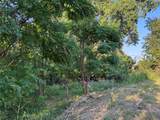 4401 Trimmier Rd - Photo 4