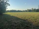 4401 Trimmier Rd - Photo 8