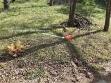 1113 Hidden Valley Rd - Photo 35
