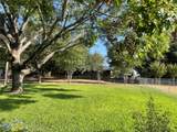 1113 Hackberry Dr - Photo 19