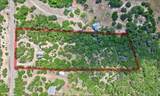417 Prochnow Rd - Photo 2