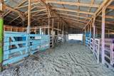 323 County Road 450 - Photo 17