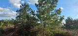 400 Mcallister Rd - Photo 2