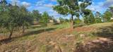 400 Mcallister Rd - Photo 5