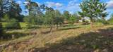 400 Mcallister Rd - Photo 8