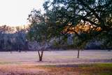 6731 Fm 1123 - Photo 28