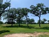 262 Colovista Pkwy - Photo 4