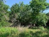 262 Colovista Pkwy - Photo 6