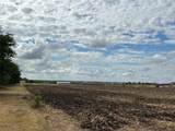 1295 County Road 432 Rd - Photo 4