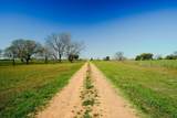 1797 County Road 261 - Photo 38