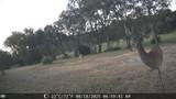 19115 Old F M Road 1431 - Photo 12