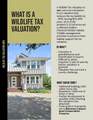 12901 Wire Rd - Photo 34