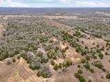 4001 County Rd 481 - Photo 16