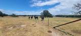 TBD 000 Hwy 77 - Photo 13
