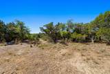 8708 Bellancia Dr - Photo 14