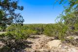 8708 Bellancia Dr - Photo 15