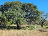 Lot 73 Shin Oak Dr - Photo 2