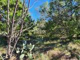 Lot 73 Shin Oak Dr - Photo 3