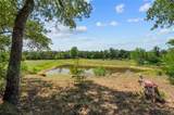 136 Red Fox Ln - Photo 5